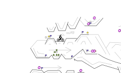 The mega track