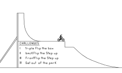 Challenge Skatepark