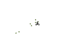 bouncy auto