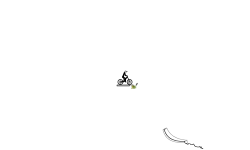 Small Lines Auto