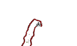 auto .-.