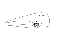 spyvsspy