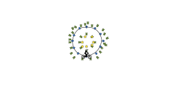 Circle auto