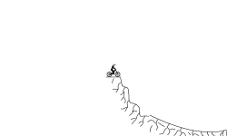 Cracked road