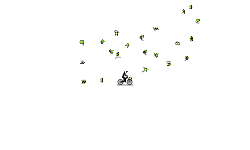Fast Auto