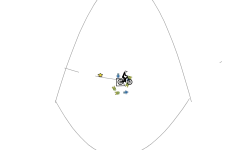 loop