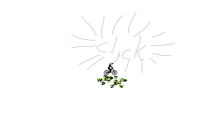 Spin