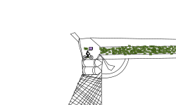 gun