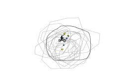 life in a circle