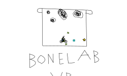 BONELAB IS COO
