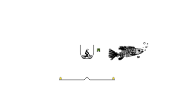 fish bones