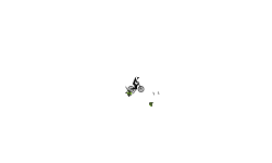 Wheelie