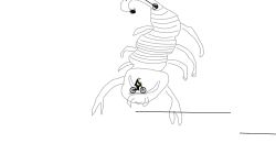 Scorpion track