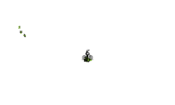 JUmp