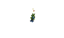 It is a glitch 2