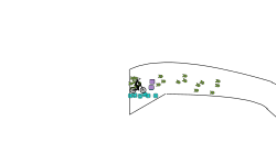 spIN 3: Anti Grav BLob