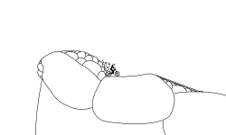 The Yawning Chasm