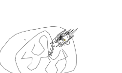 nhn