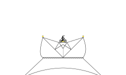 Diamond Ring!