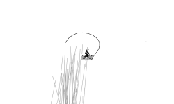 Long auto