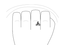 fist (face down)