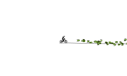 Fast