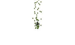 Arrow auto