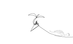 HoppingAcrossTheHawaiiIslands