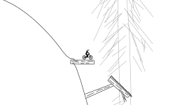 Forest trail