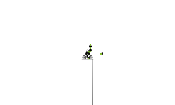SLOWMO