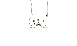 a helicopter cave (medium)