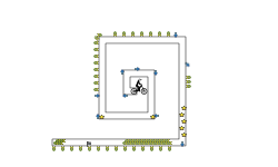 Fibonacci rider