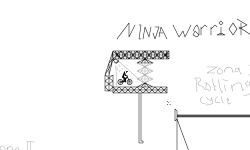 Ninja Warriors