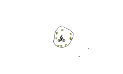 speed