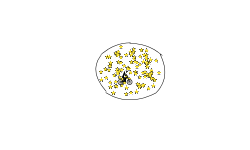 so many Stars