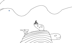 Sea turtle