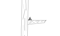 Woodlands Downhill