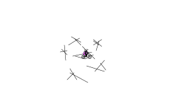 For Sparxz