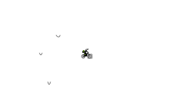 dont move