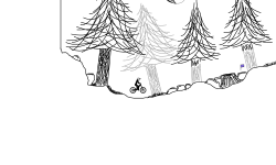 forest track