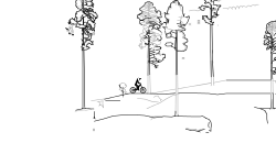 taiga