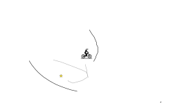 BACK AND FORTH