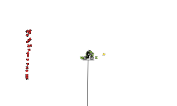 (desc)