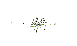 TEST DUN PLAY IF U HATE IT