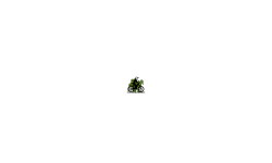 grief auto prt 2
