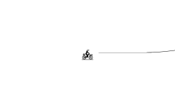 Not really a wheelie