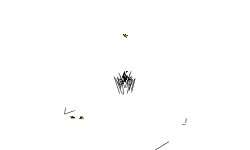 short auto