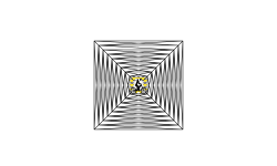 illusion