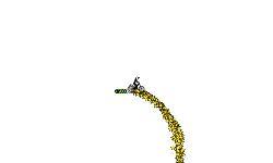 Don't Move #11 *Short Glitch*