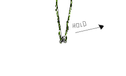 Hold ------>